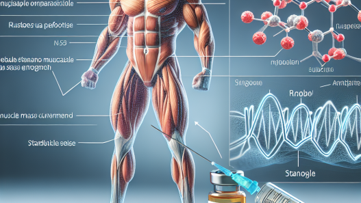 Injectable stanozolol effects on muscle mass growth