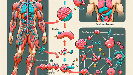 Understanding the mechanism of drostanolone propionate in the human body